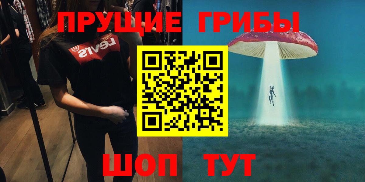 Моздок  Галлюциногенные грибы прущие грибы  Галлюциногенные грибы Psilocybe  Вход с VPN 