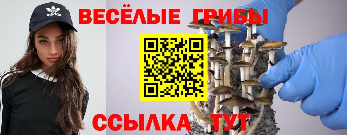  Кокаин Моздок